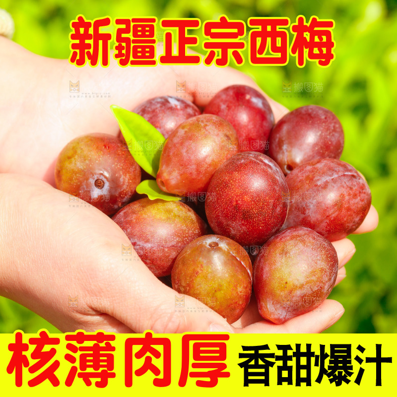 手里捧着西梅