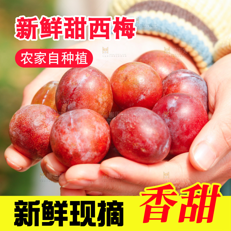 手里捧着西梅