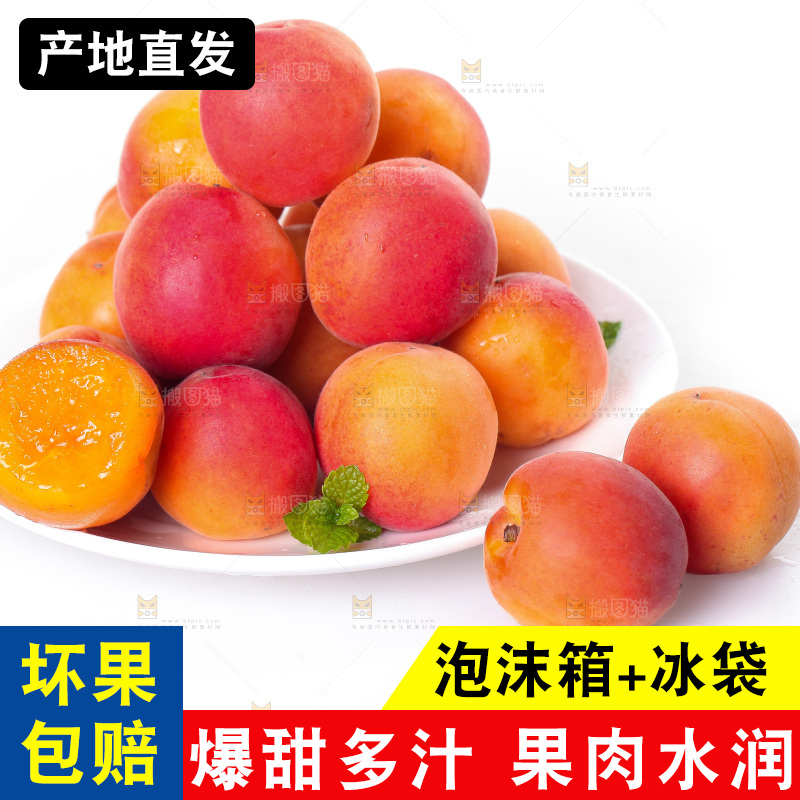 白底上放着一盘新疆小红杏