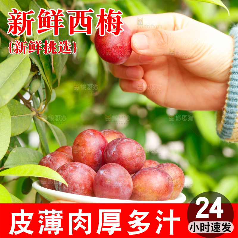 手里拿着新鲜西梅
