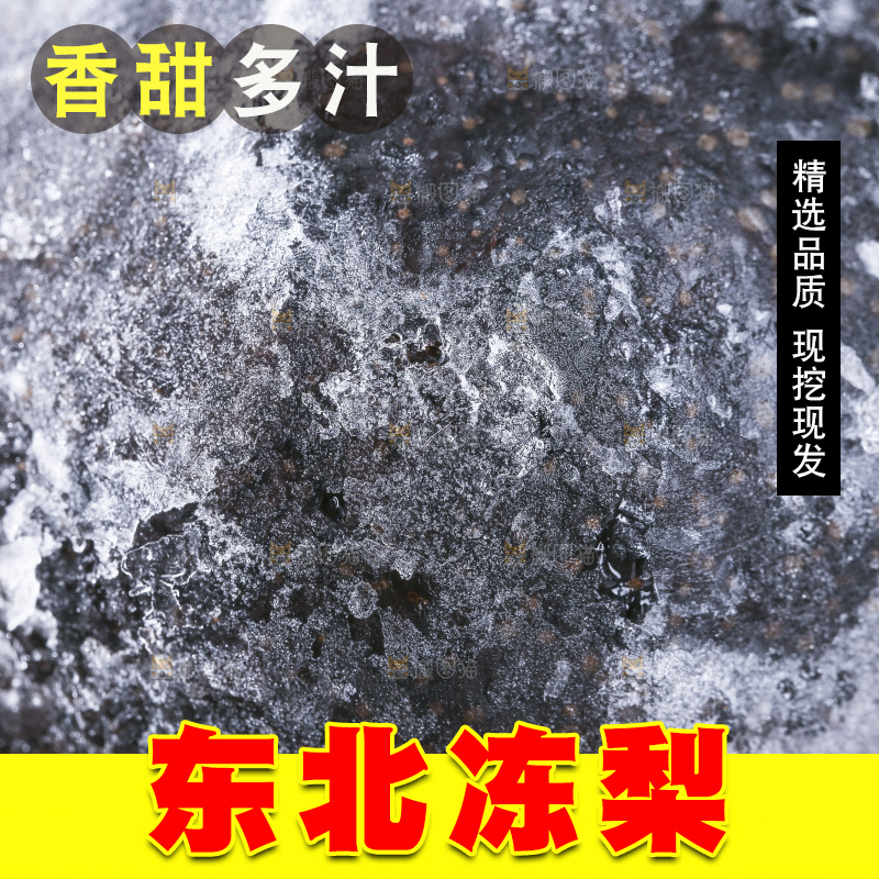 黑冻梨特写