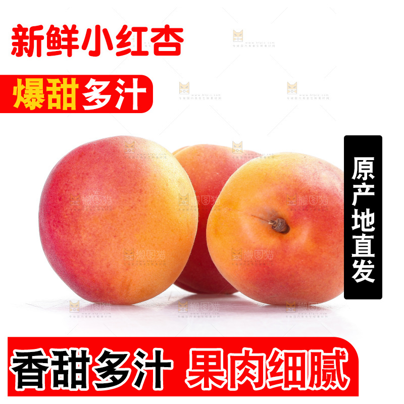 白底上放着小红杏