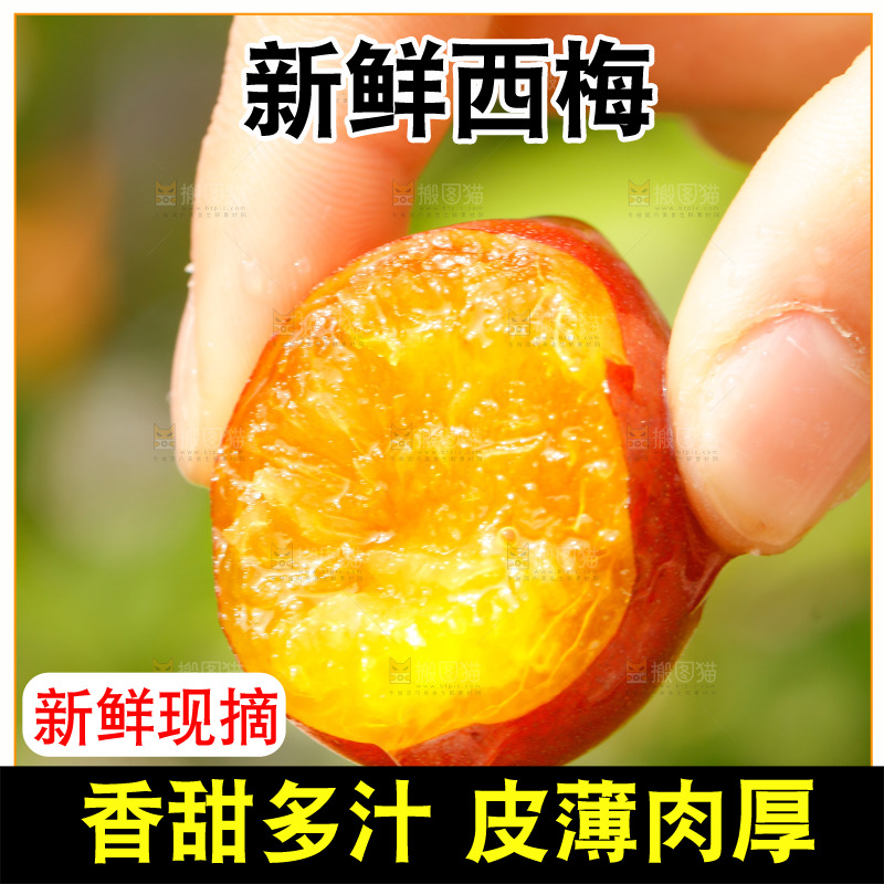 手里拿着新疆西梅