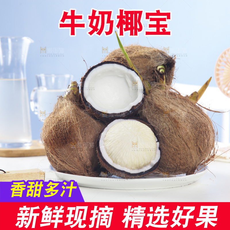 白底上放着一盘海南牛奶椰宝