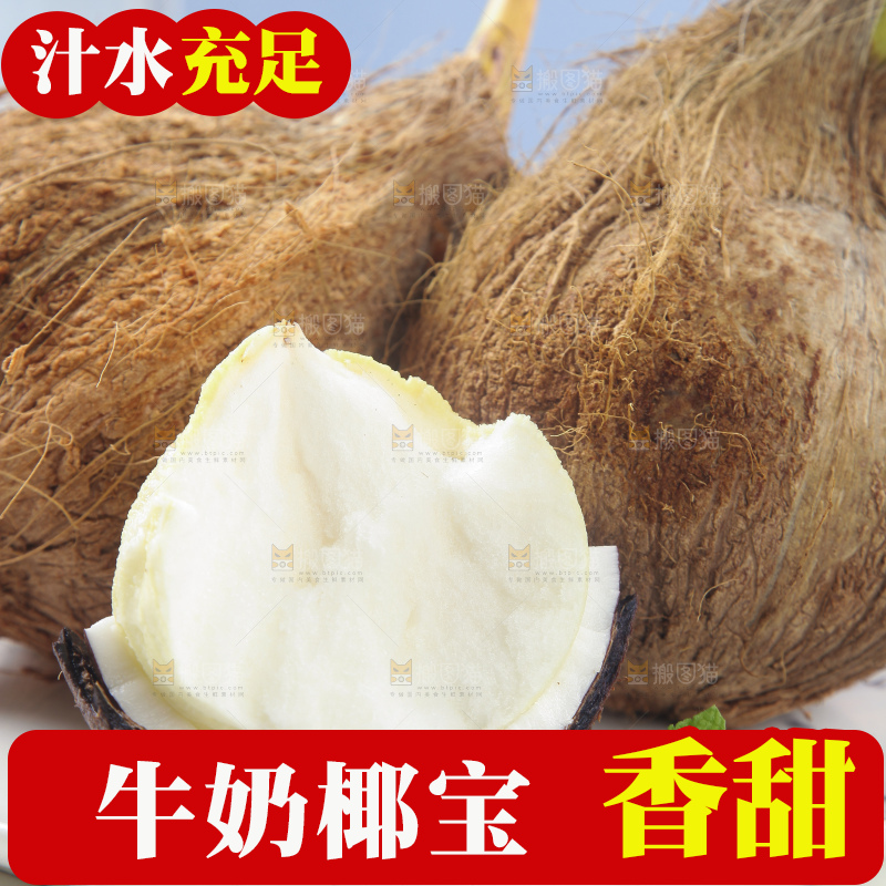 白底上放着一盘椰宝