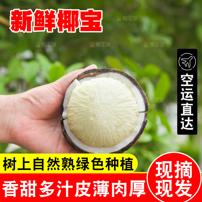 手里拿着掰开的海南椰宝
