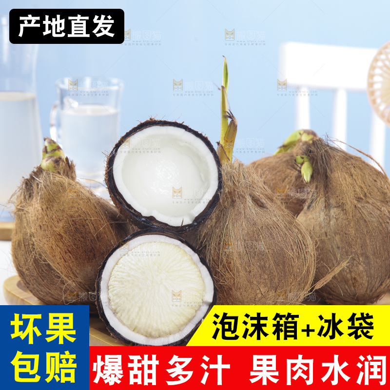 白底上放着一盘海南牛奶椰宝