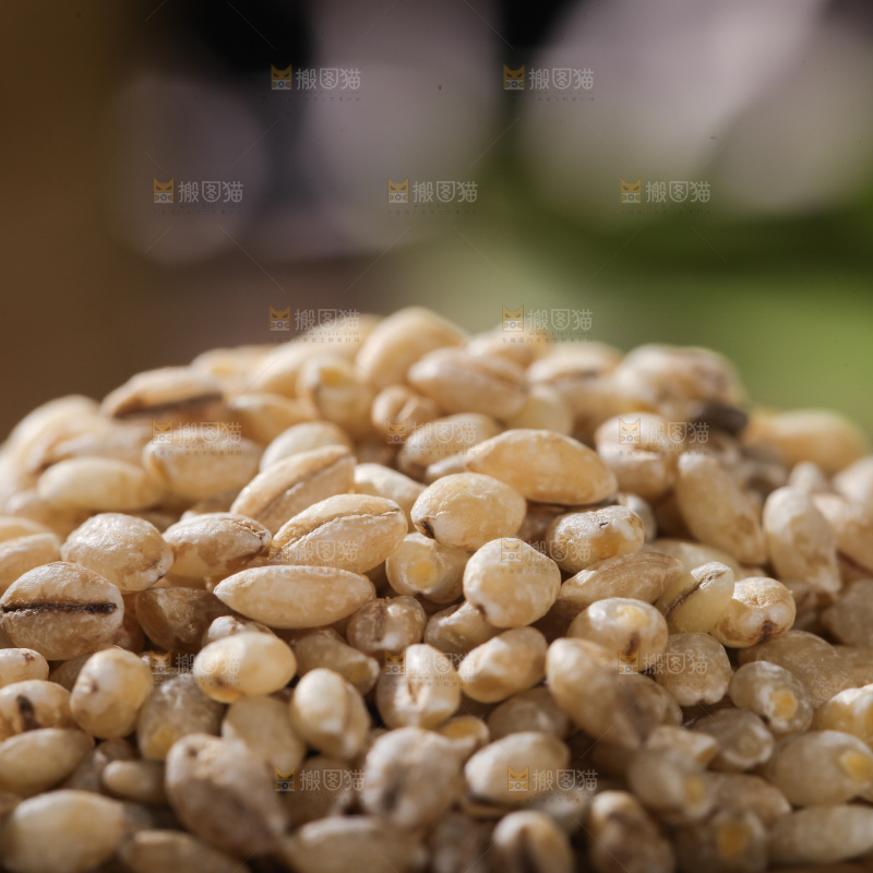 一堆白青稞米