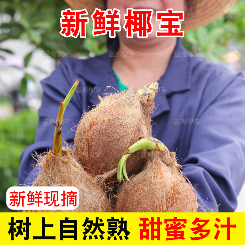 女人手里捧着海南椰宝