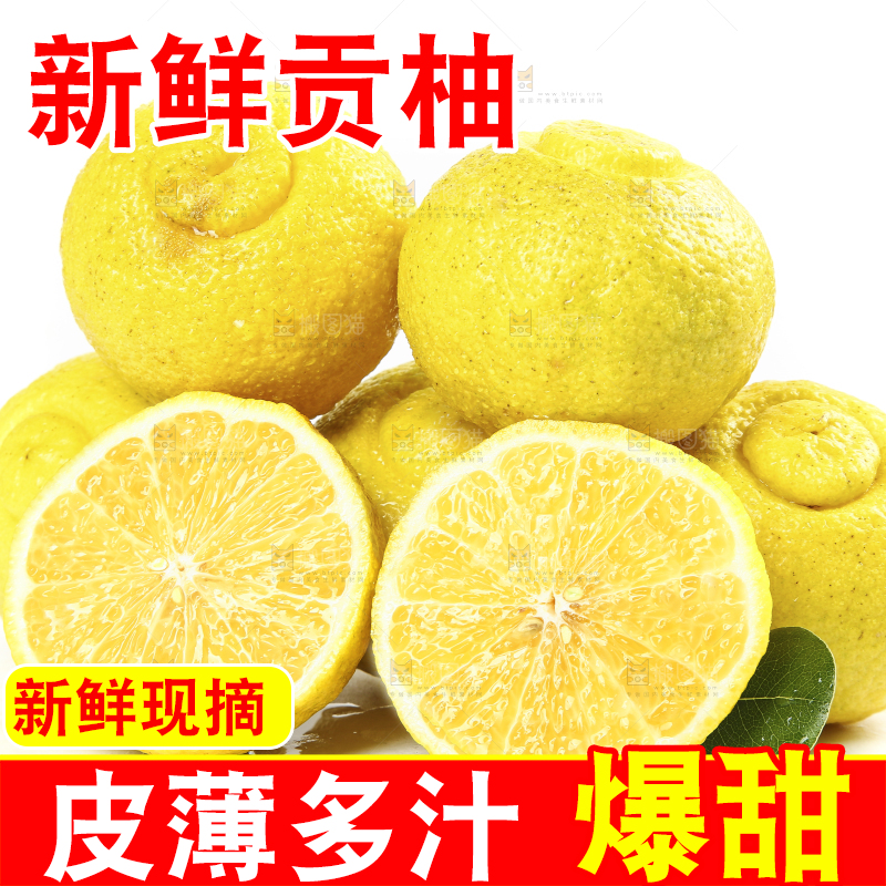 白底上放着一堆贡柚