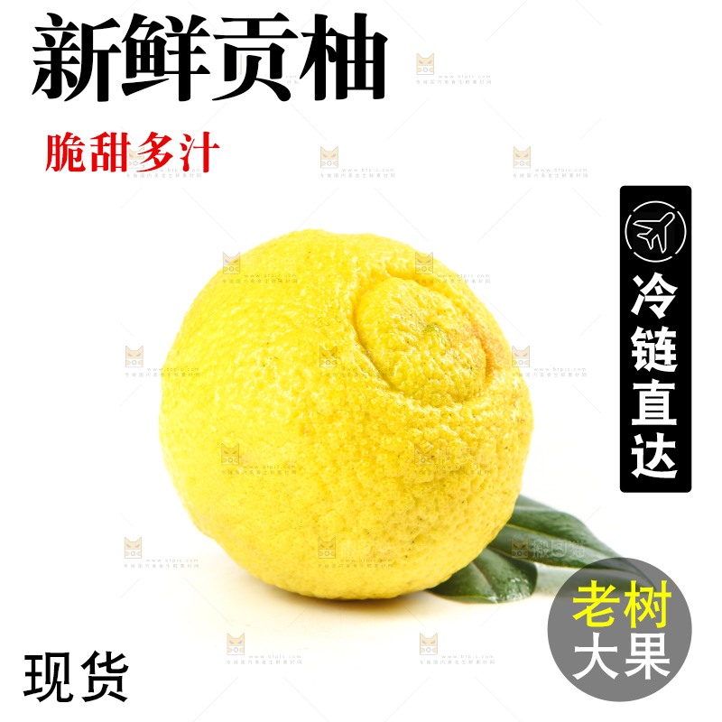 白底上放着贡柚