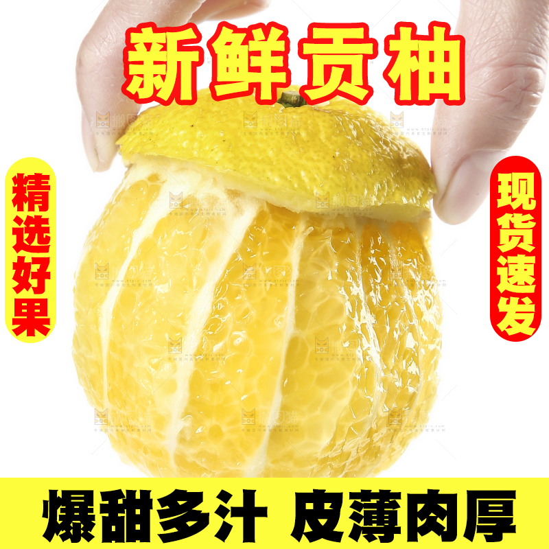 手里拿着贡柚果肉