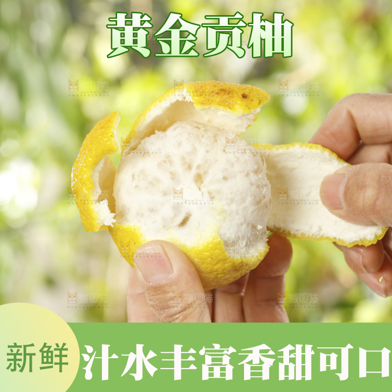 手里拿着怀化黄金贡柚