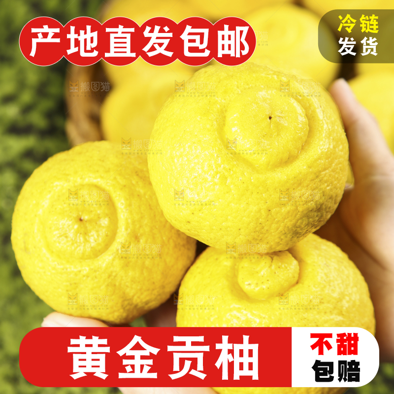手里捧着黄金贡柚