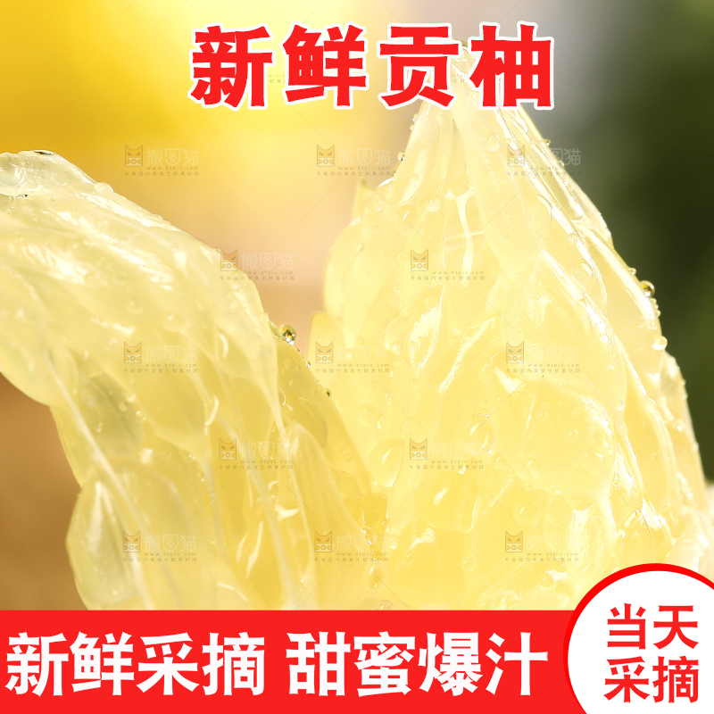 贡柚果肉特写