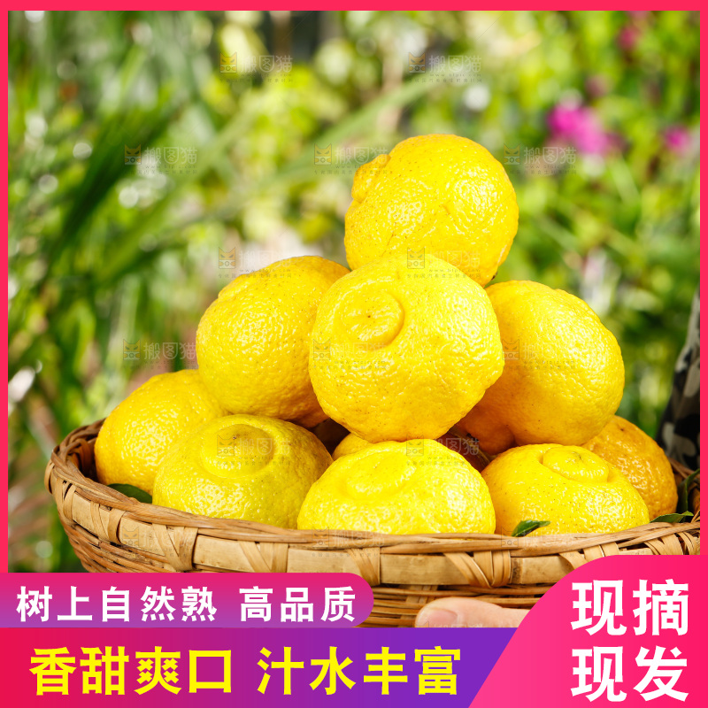 手里端着一筐黄金贡柚