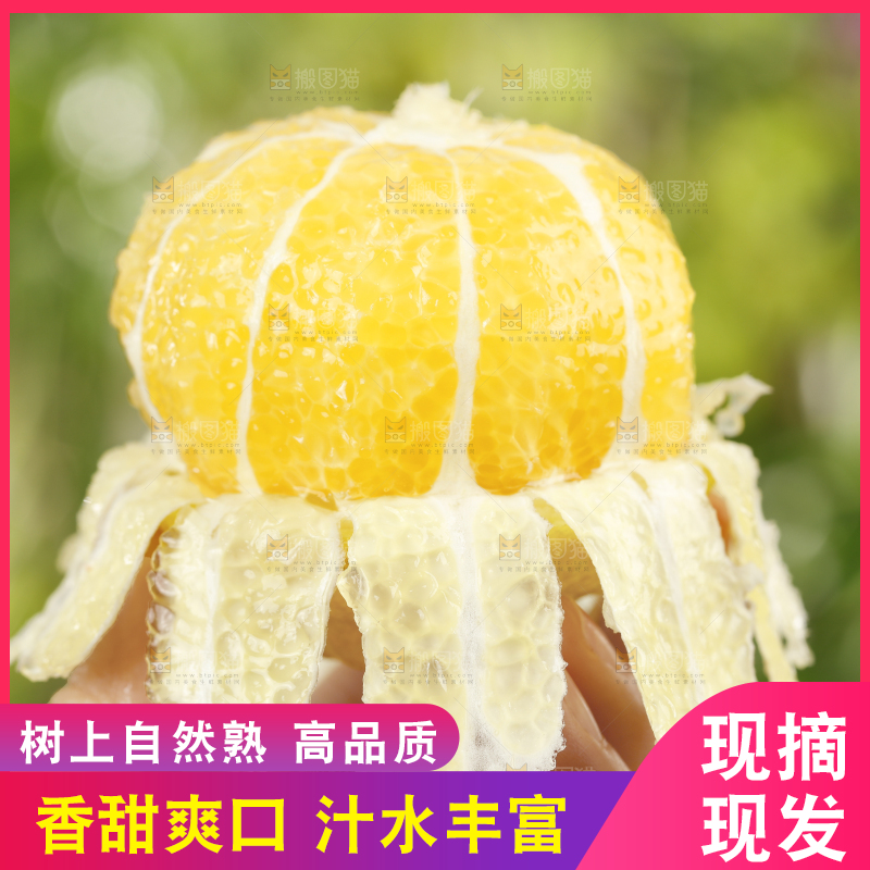手里拿着贡柚果肉