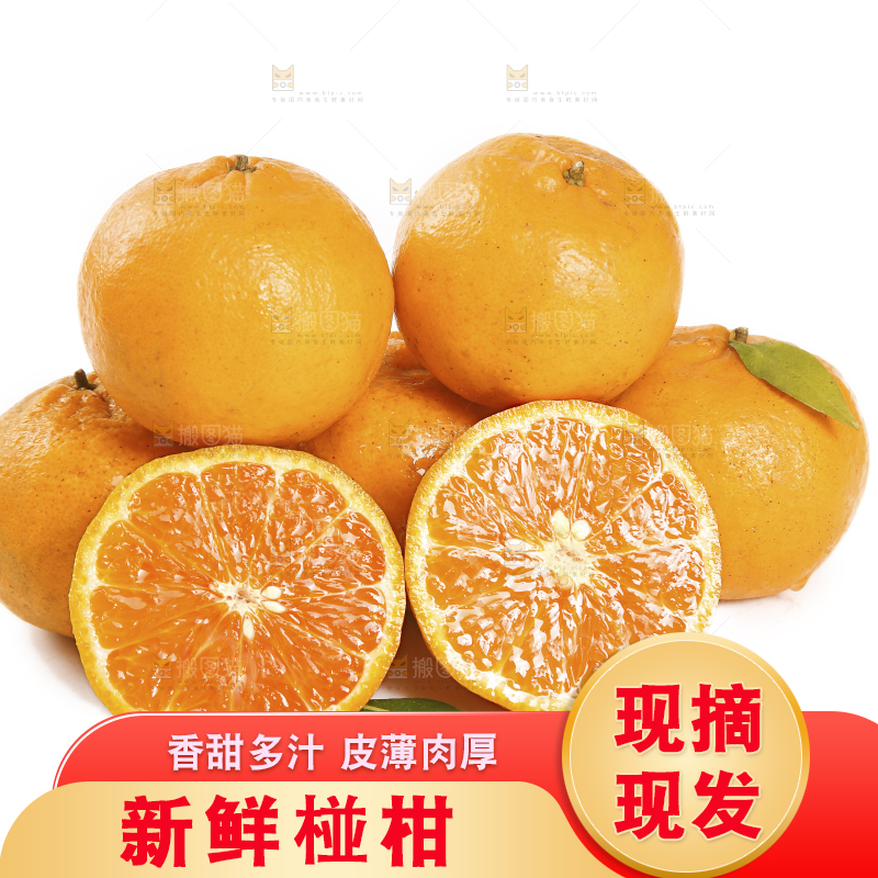 一堆清江椪柑