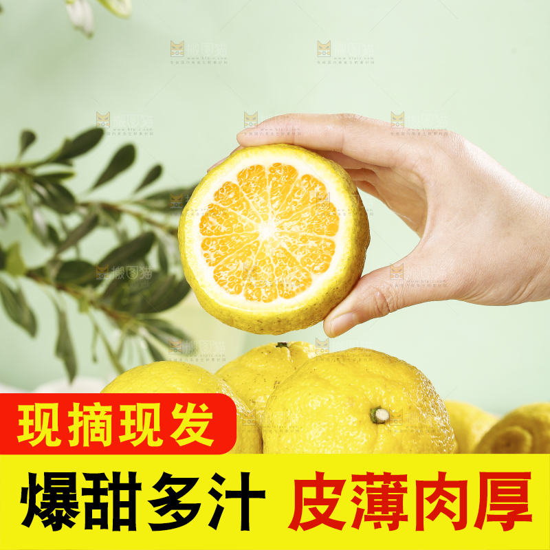 手里捧着贡柚