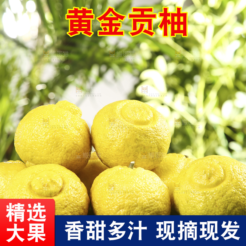 草地上摆放着一堆湖南黄金贡柚