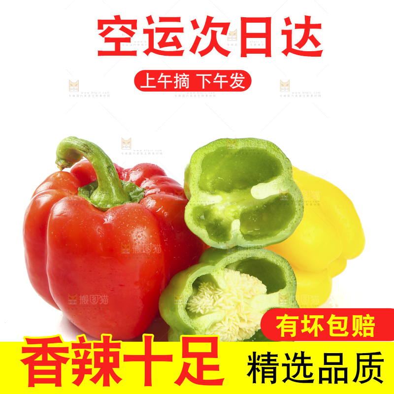 白底上的五彩椒