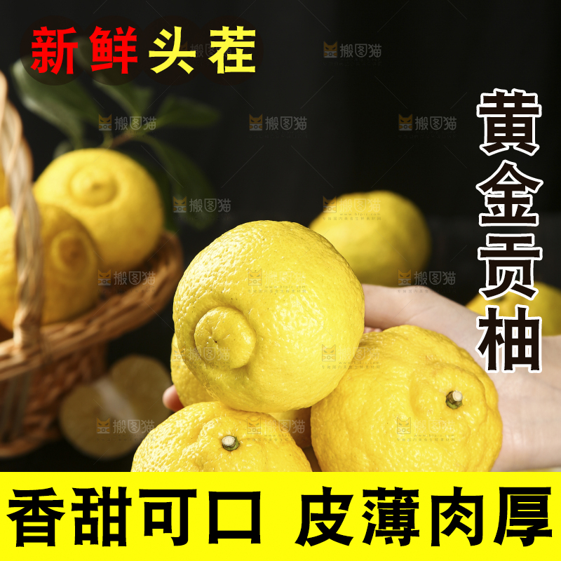 手捧贡柚