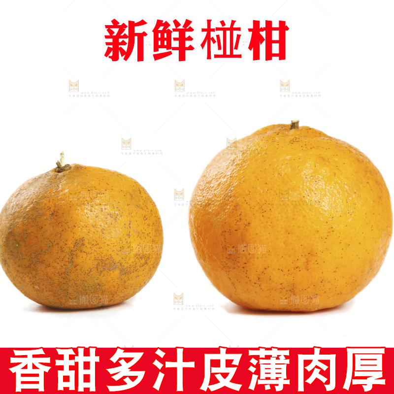 白底上放着椪柑对比