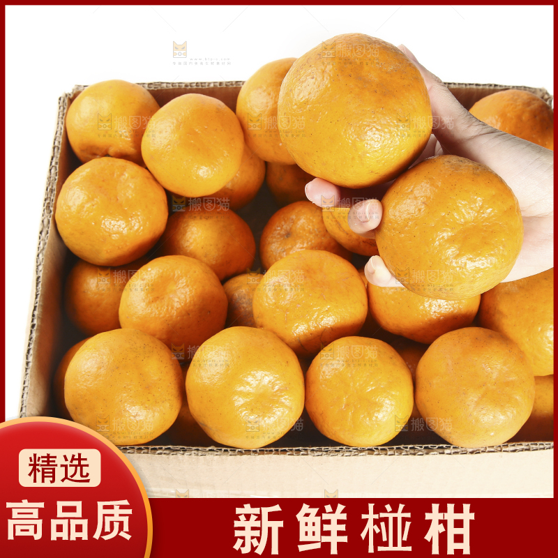 手里拿着椪柑橘