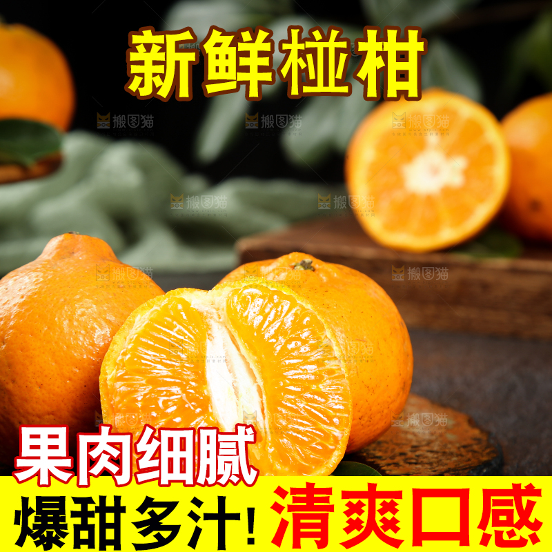 黑底上的宜昌椪柑