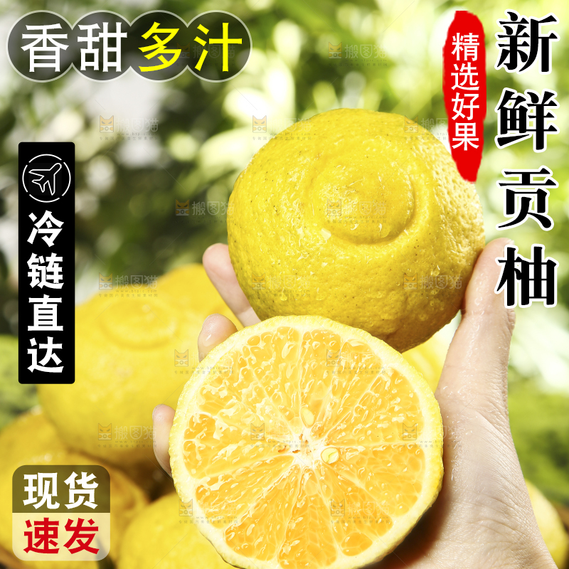 手拿着贡柚