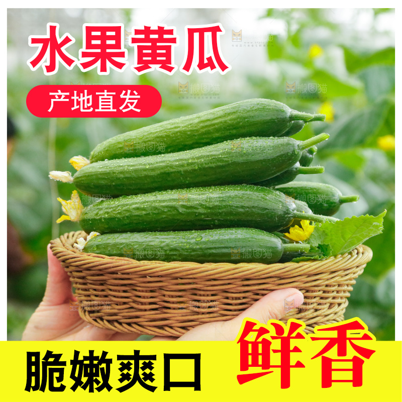 手里端着一篮水果黄瓜
