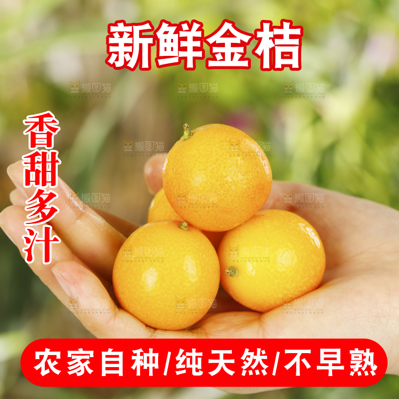 手里捧着脆皮小金橘