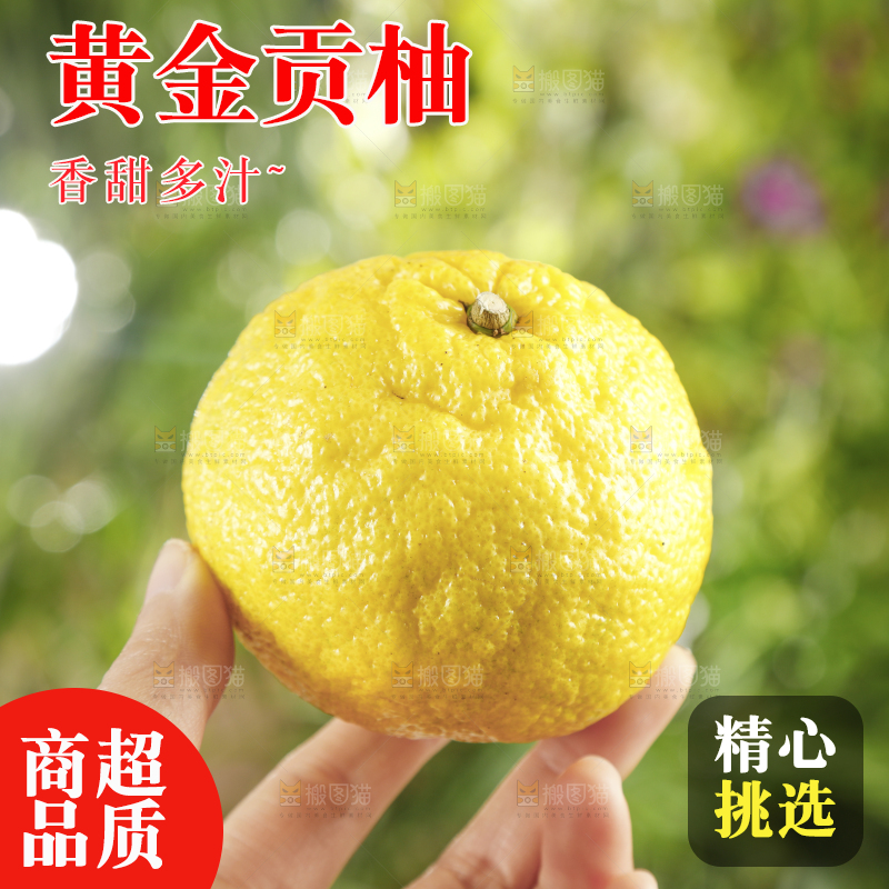 手里拿着贡柚