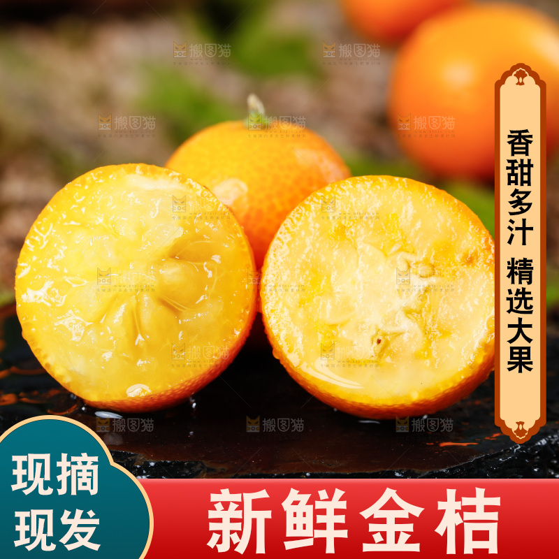 黑底上放着小金橘