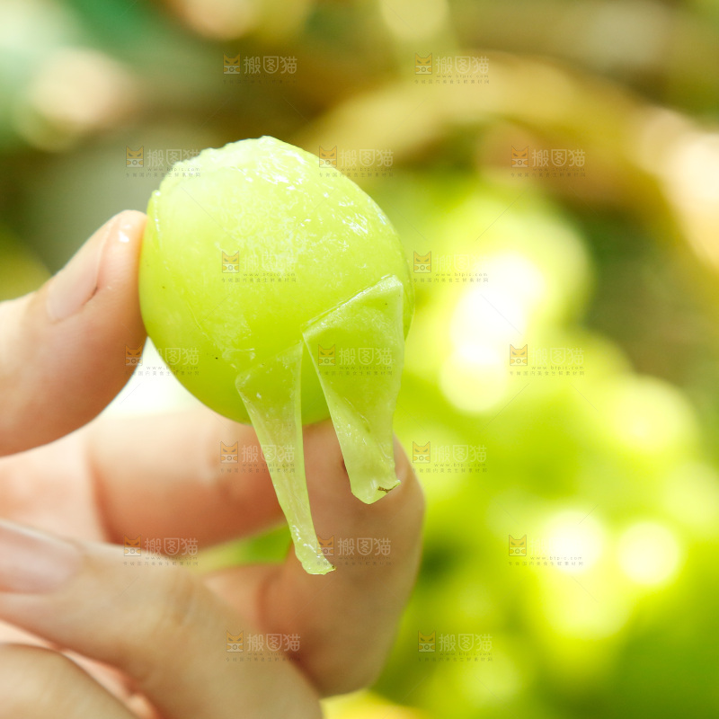 手里拿着阳光玫瑰