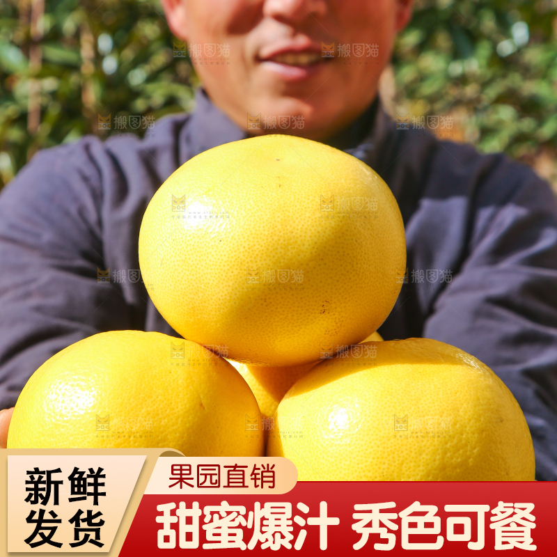 农民手里捧着黄金葡萄柚