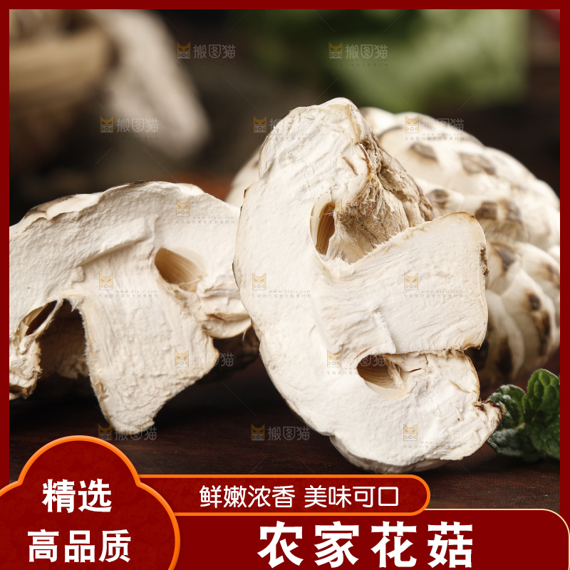 木底上放着东北椴木花菇