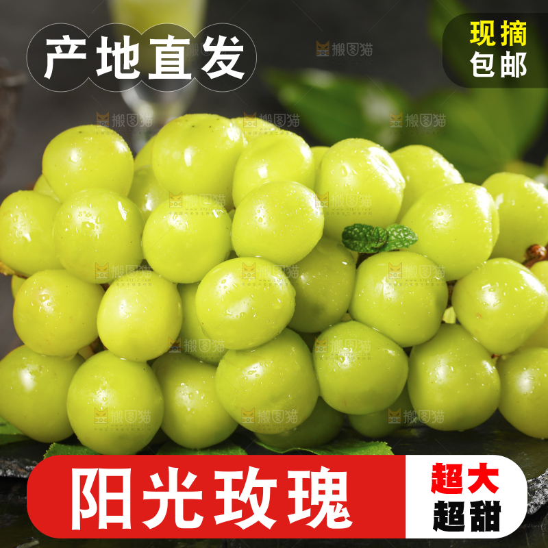 黑石板上放着晴王青提