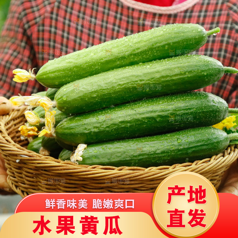 手里端着一篮水果黄瓜