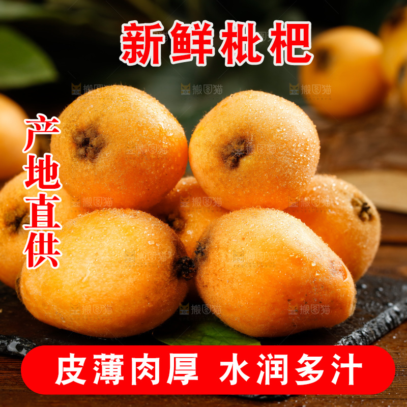 黑石板上的米易甜枇杷