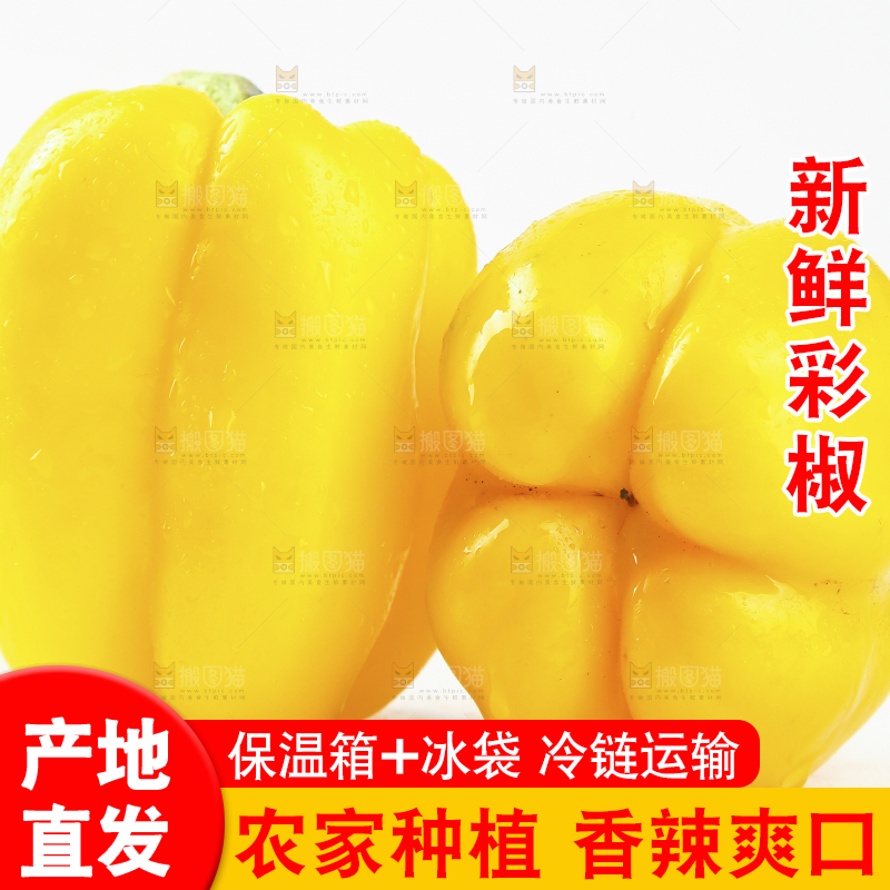 白底上的五彩椒