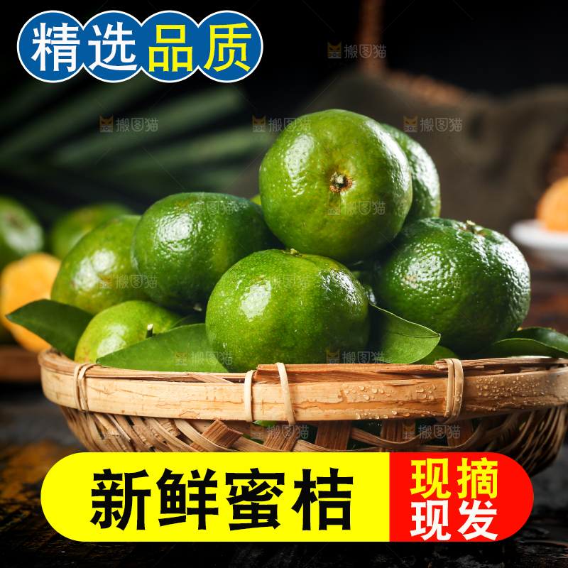 篮子装着清香茶橘