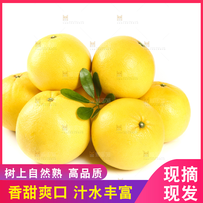 白底上一堆葡萄柚