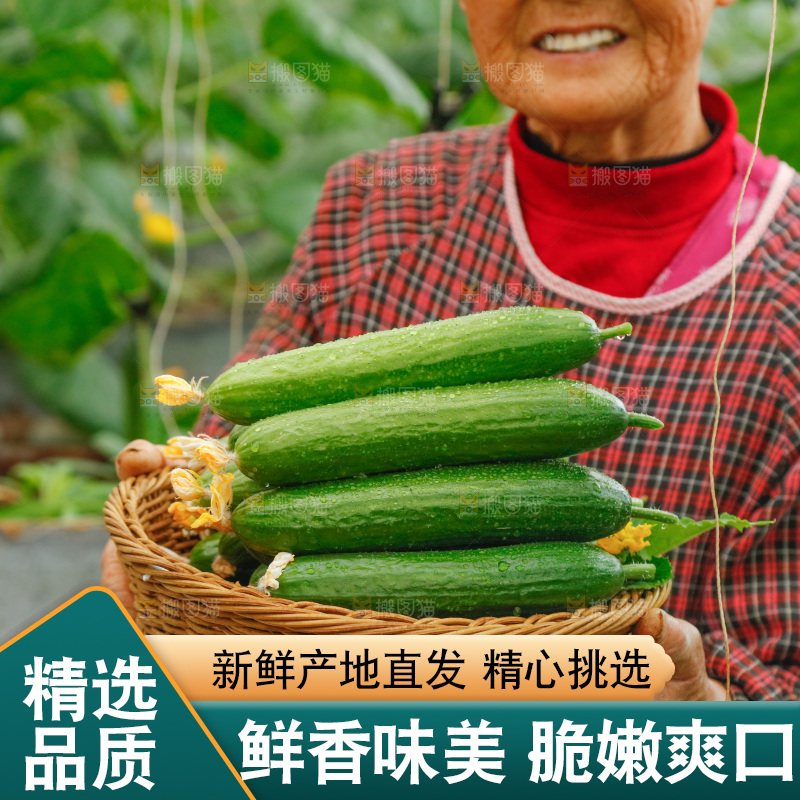 手里端着一篮水果黄瓜