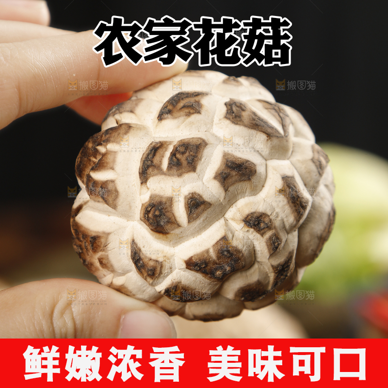 手里拿着花菇