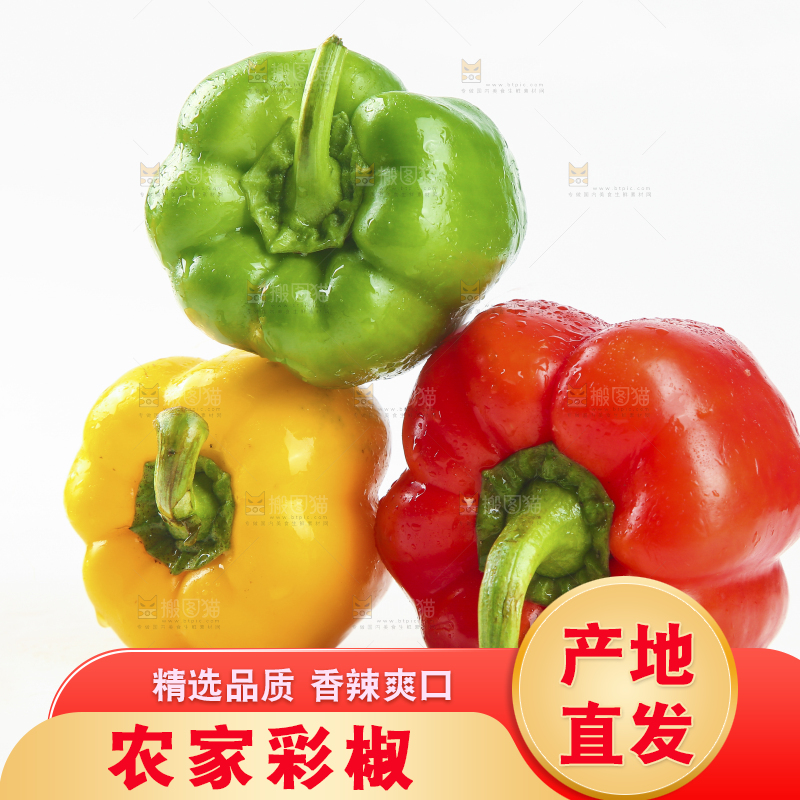 白底上的五彩椒
