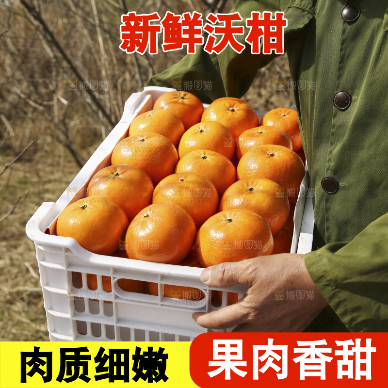 手里抱着一框广西武鸣沃柑