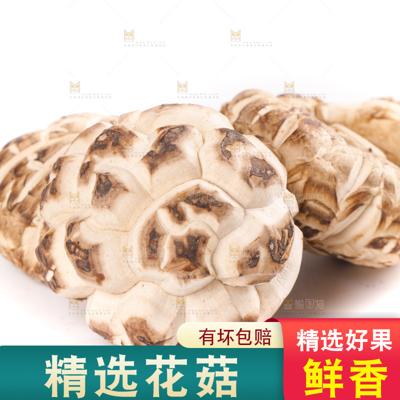 白底上放着花菇