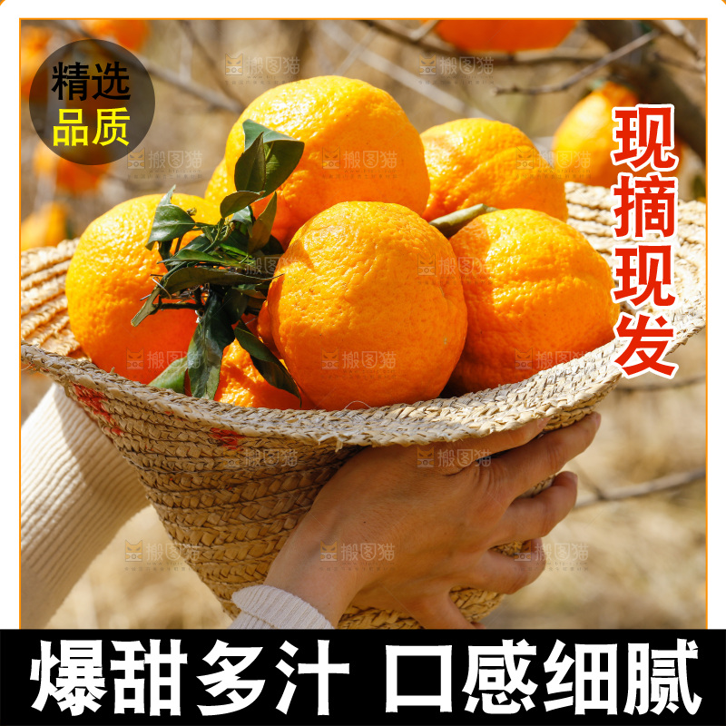 草帽子里放着新鲜丑橘