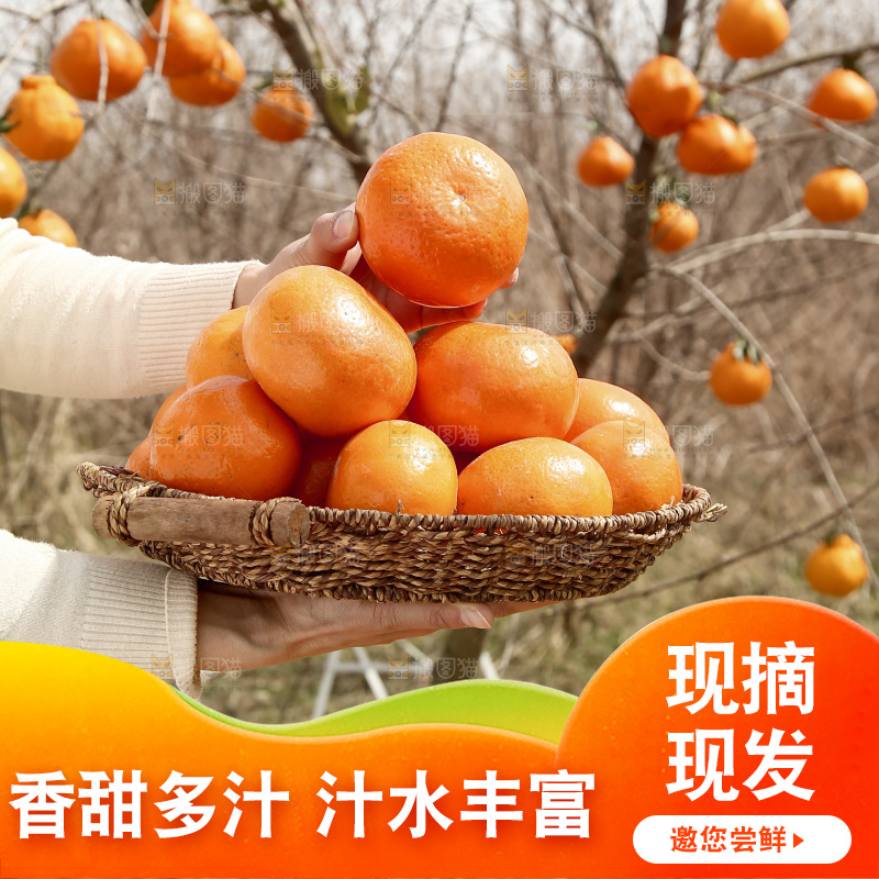 手里端着一篮广西武鸣沃柑